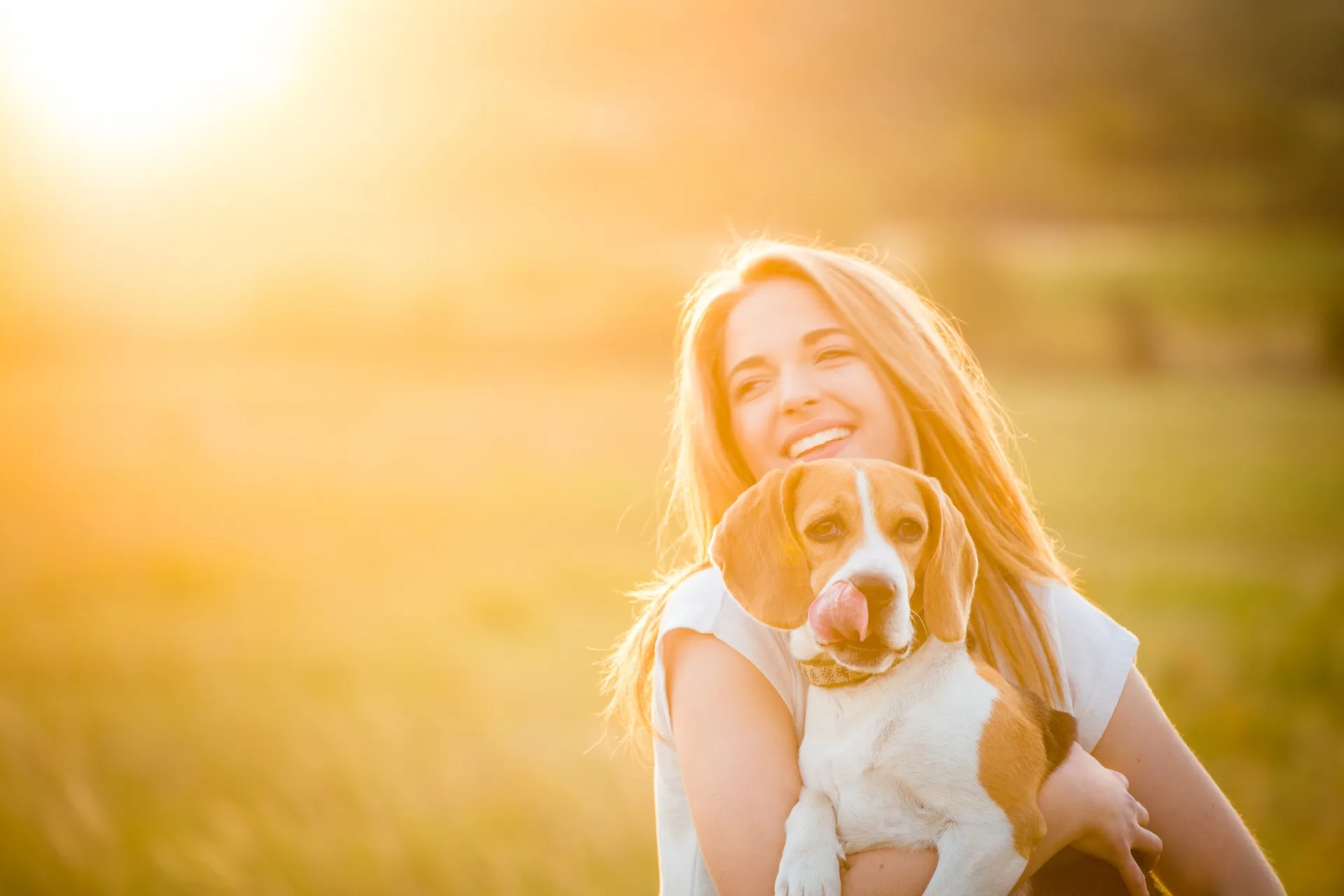 Prezzi Dog Sitter a Firenze