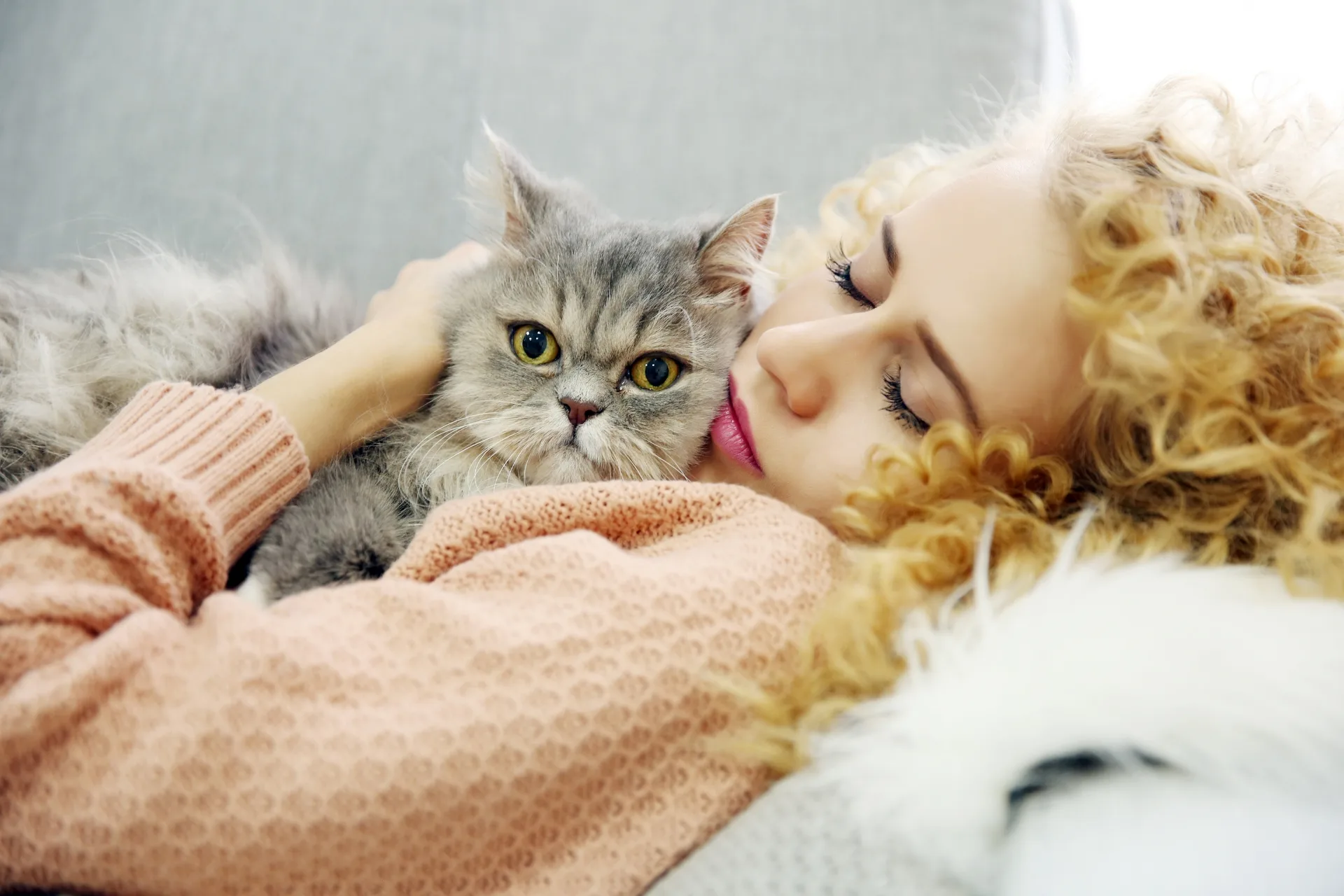 Prezzi Cat Sitter a Milano