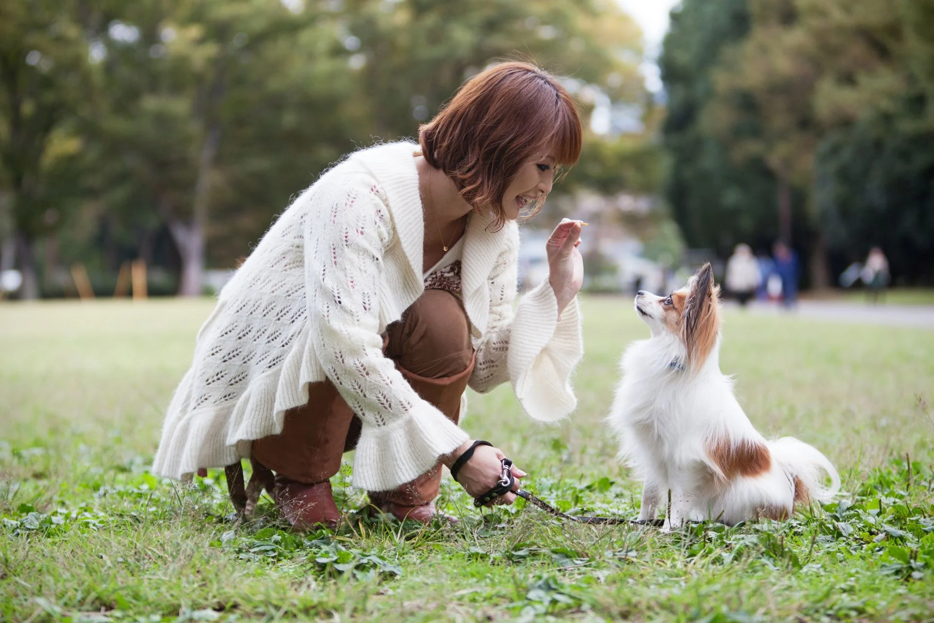 Master Positive Reinforcement Dog Training: Tips & Techniques