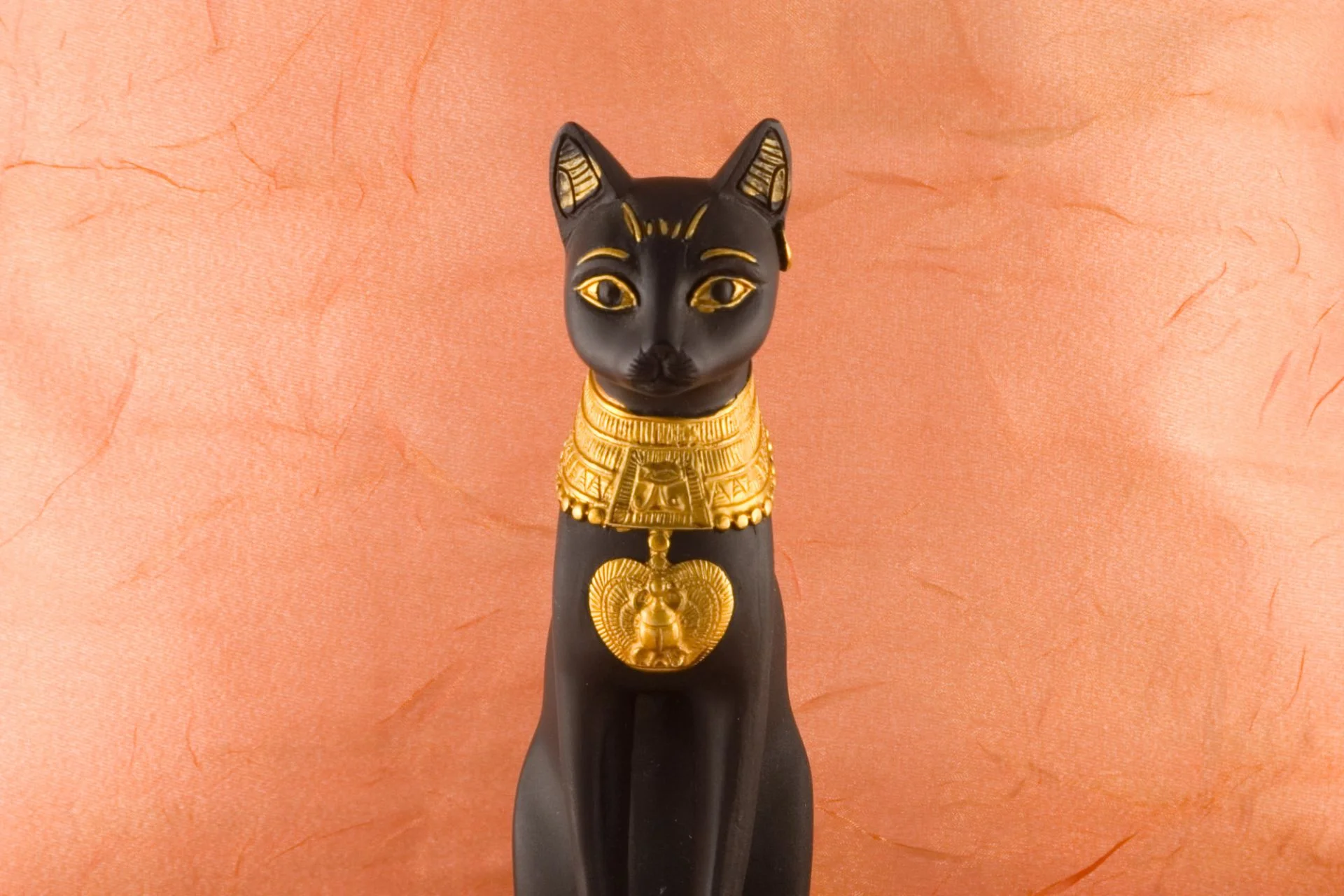 Sleek black cat breeds and their unique traits