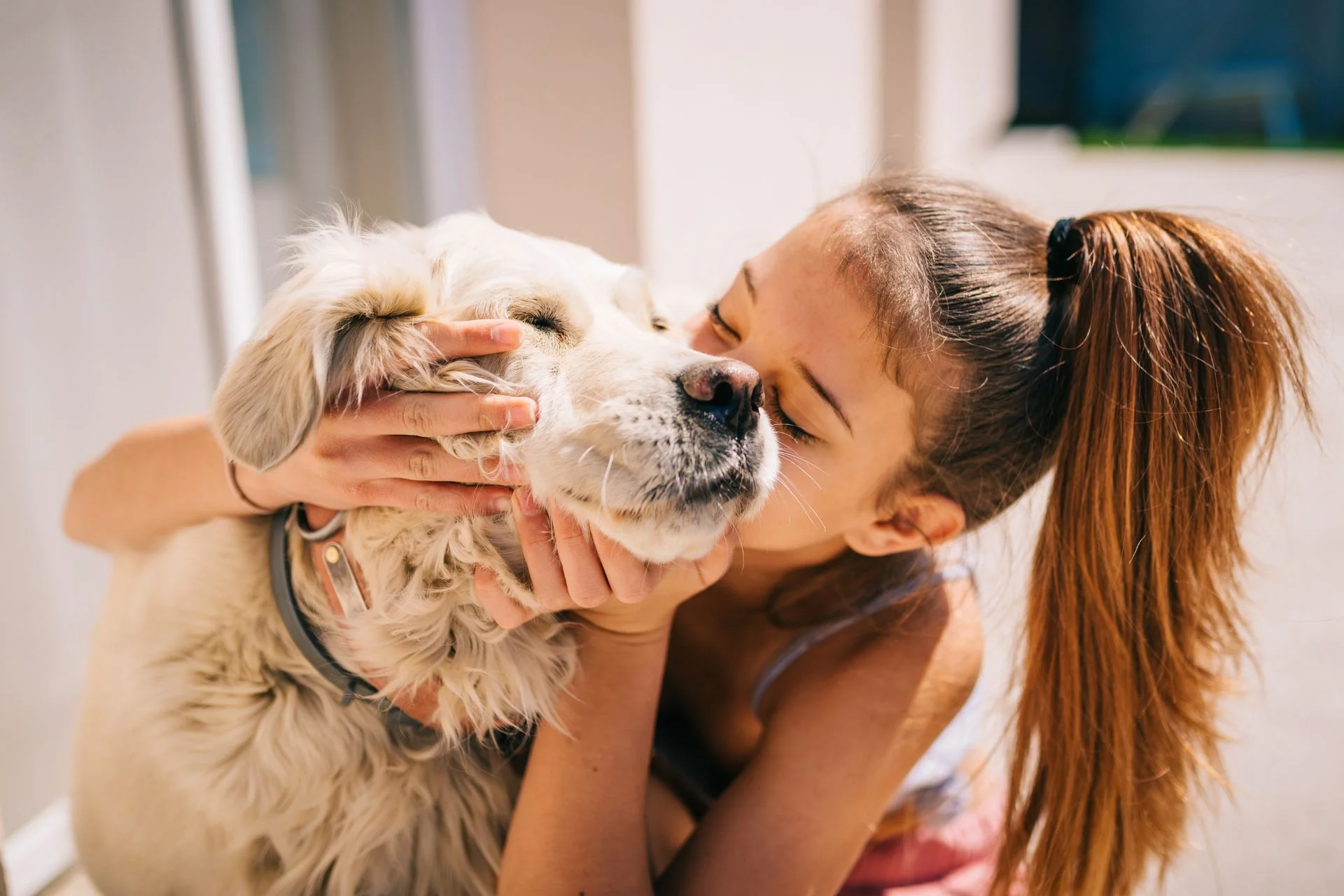 Emotional benefits of pet ownership: How pets boost happiness