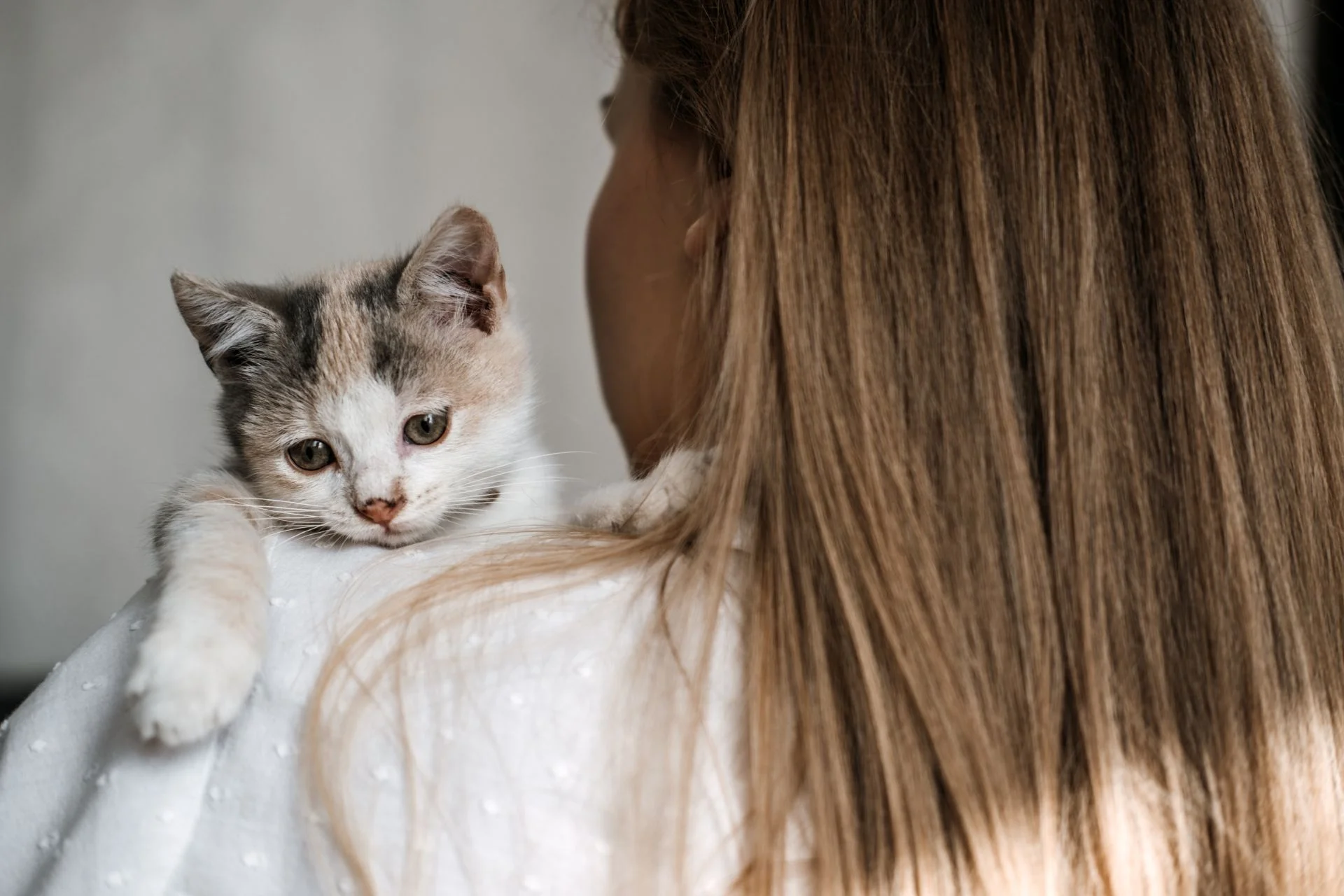 Cat Rescue: Saving Lives