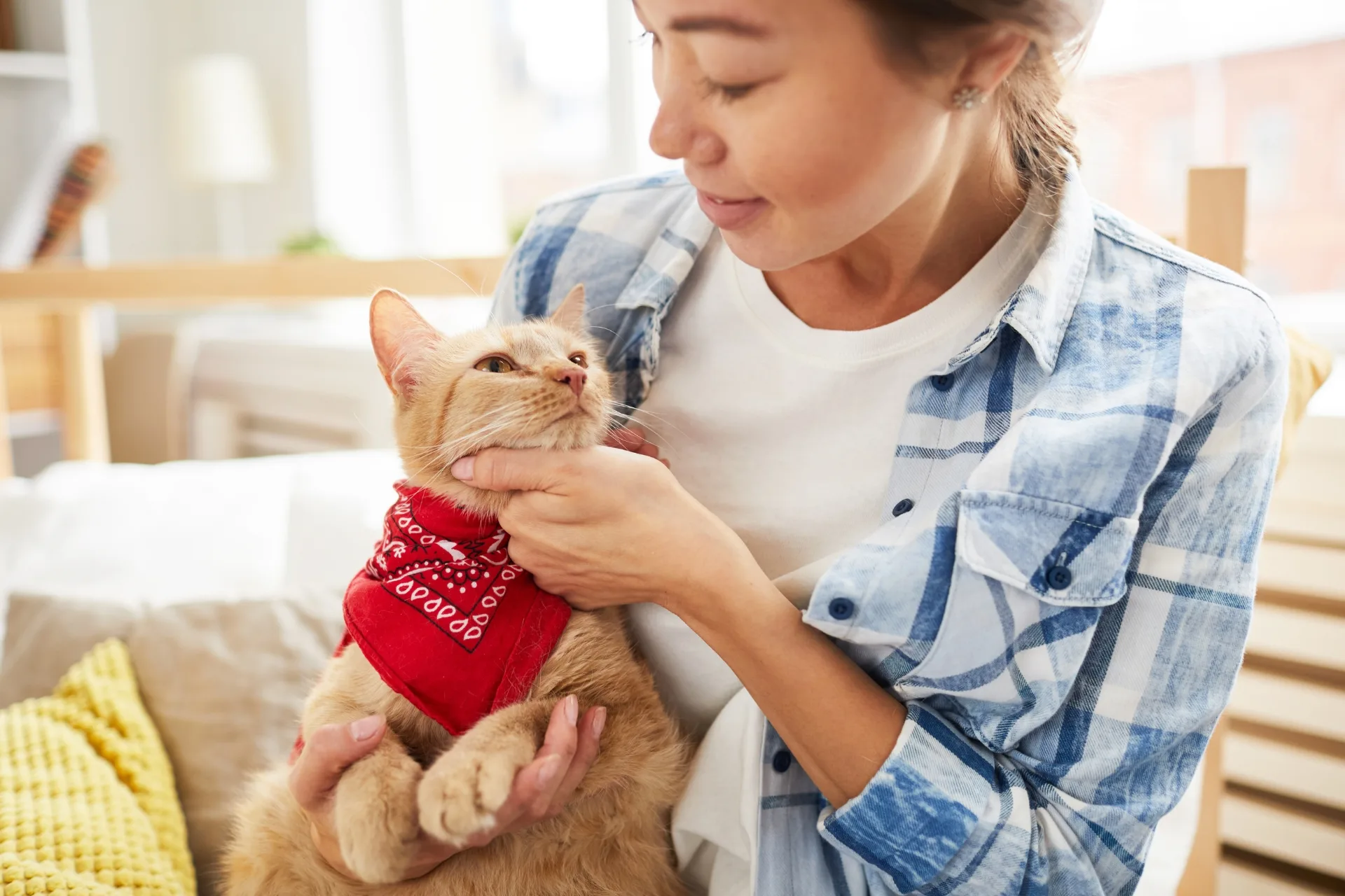 Cat sitters 101: what does a cat sitter do?