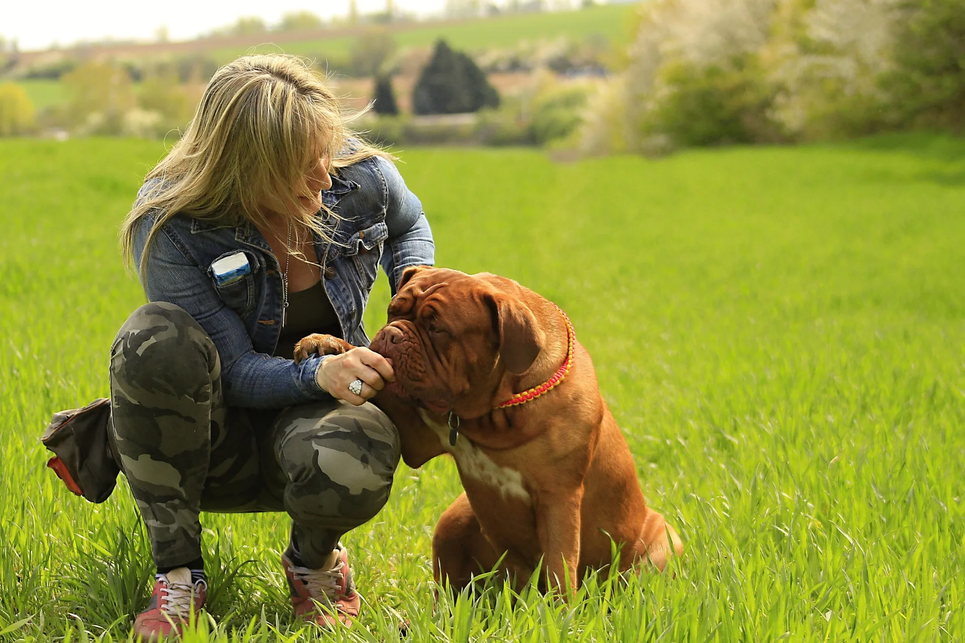 Dog Sitter Review Examples That Actually Help