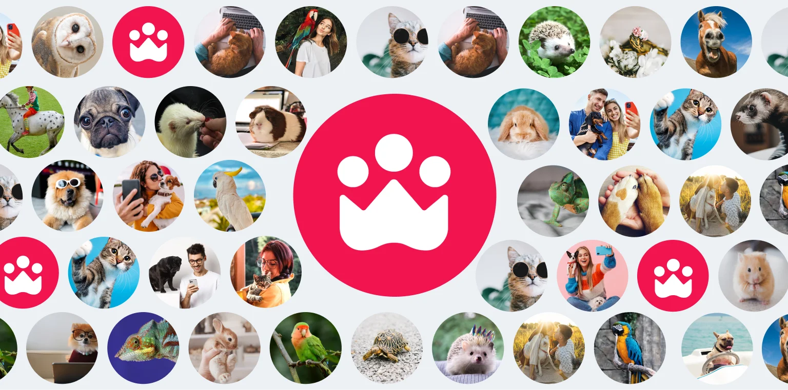 Petme – the best social platform for pets and pet owners