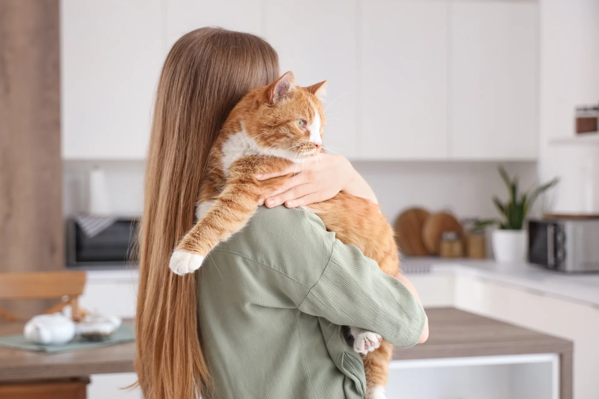 How Long Can I Leave My Cat with a Sitter?