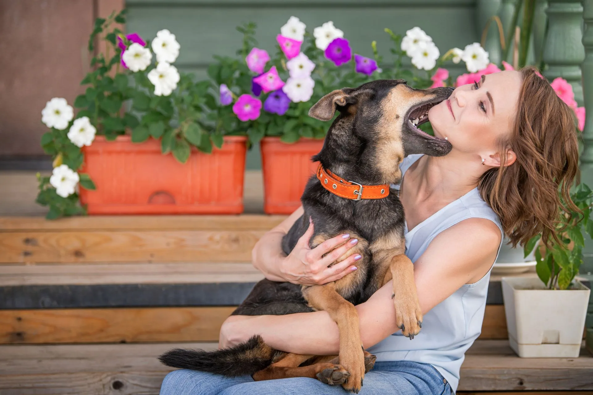 How Much to Pay a Dog Sitter for a Week