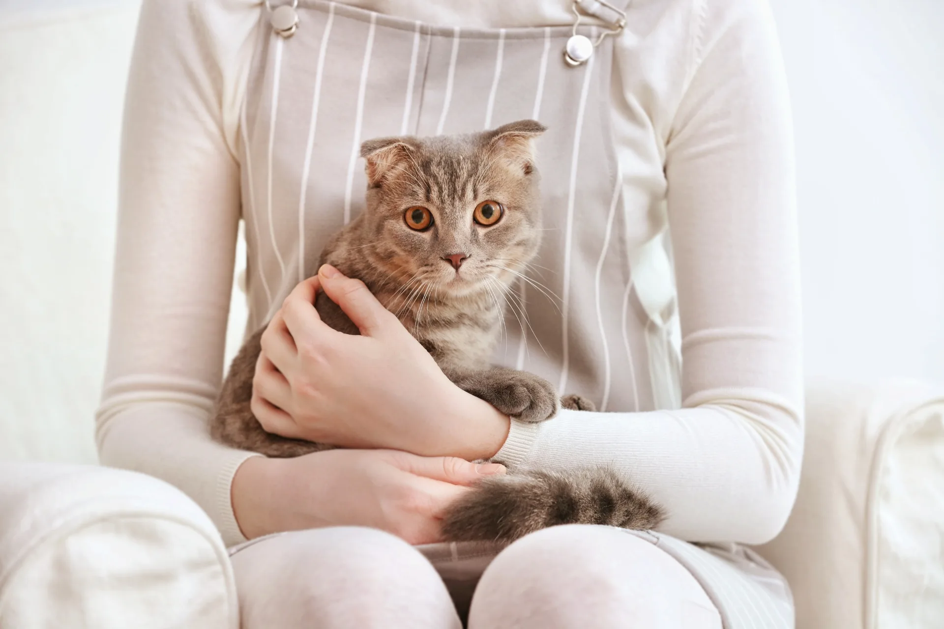 How Long Can You Leave a Pet with a Sitter?