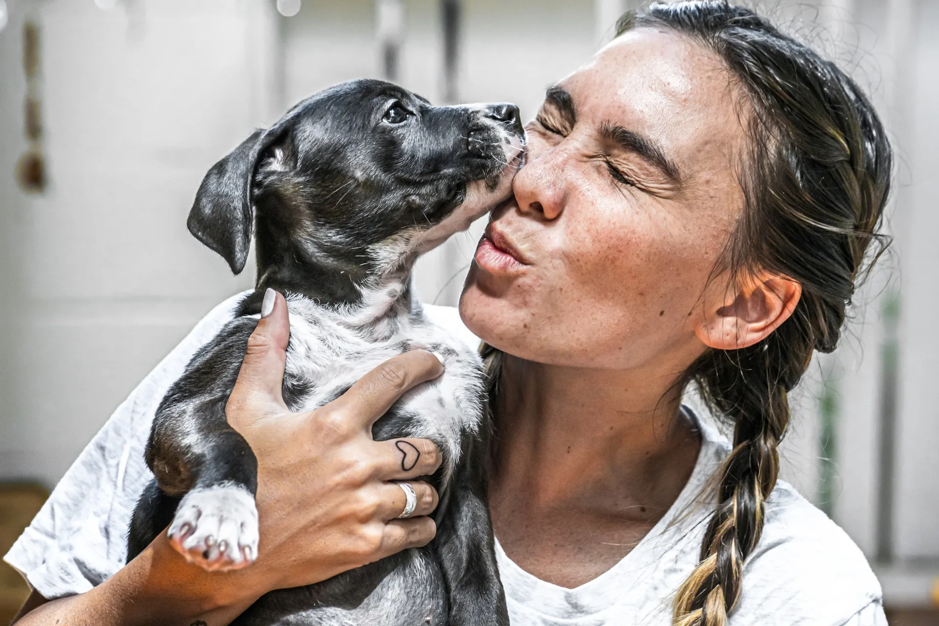 How to Become a Pet Sitter or Dog Walker on Petme
