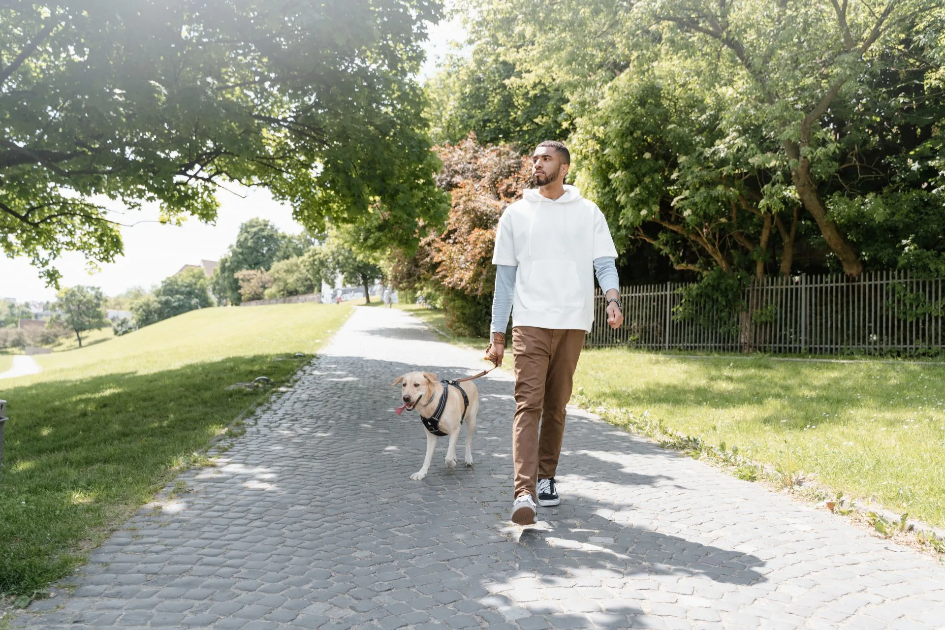How to Become a Pet Sitter with no Experience