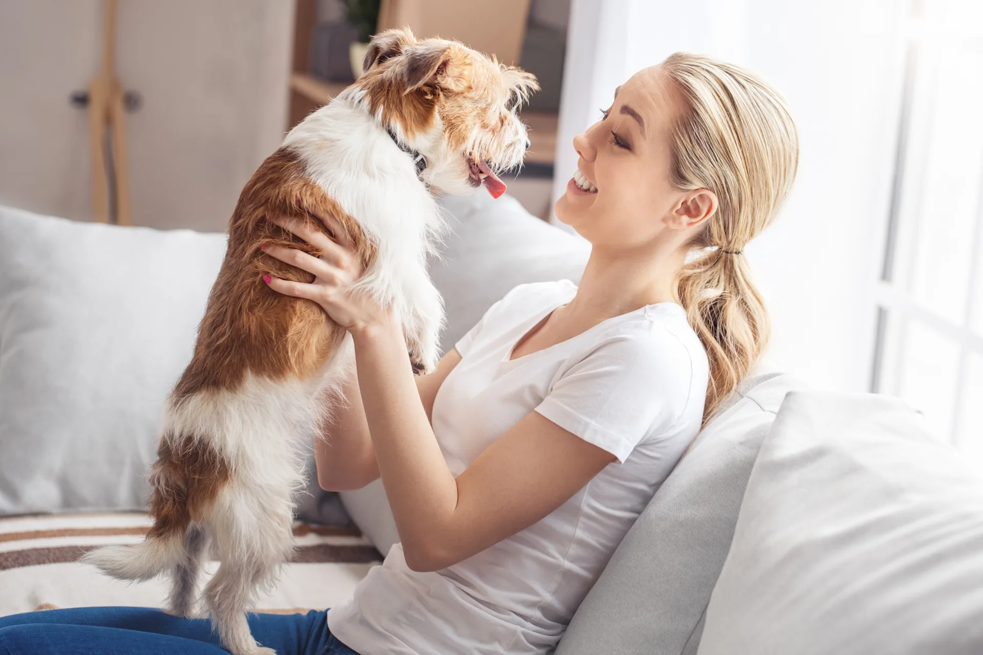 How to Find an Affordable Pet Sitter Without Sacrificing Quality