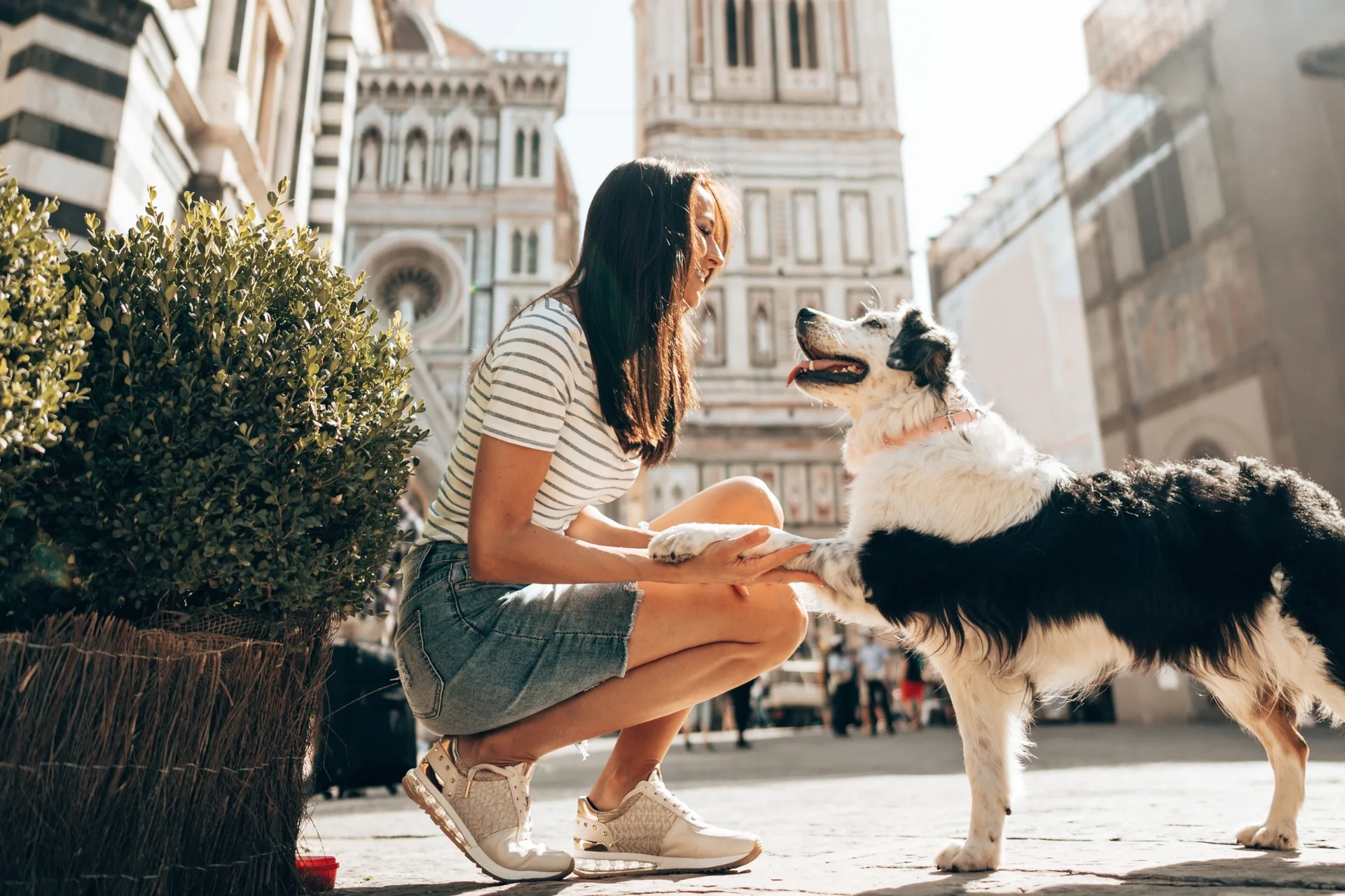 How to Choose the Right Pet Sitter