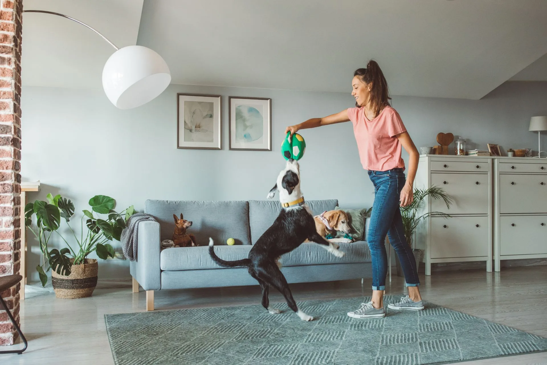How to Find a Pet Sitter: Easy Step-by-Step
