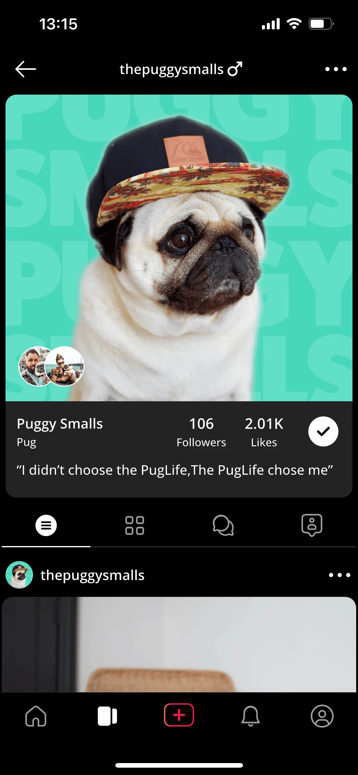 Pet profile view