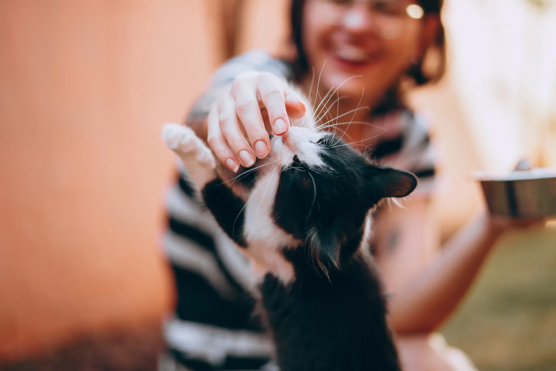 Is Pet Sitting Still a Good Business in 2026?
