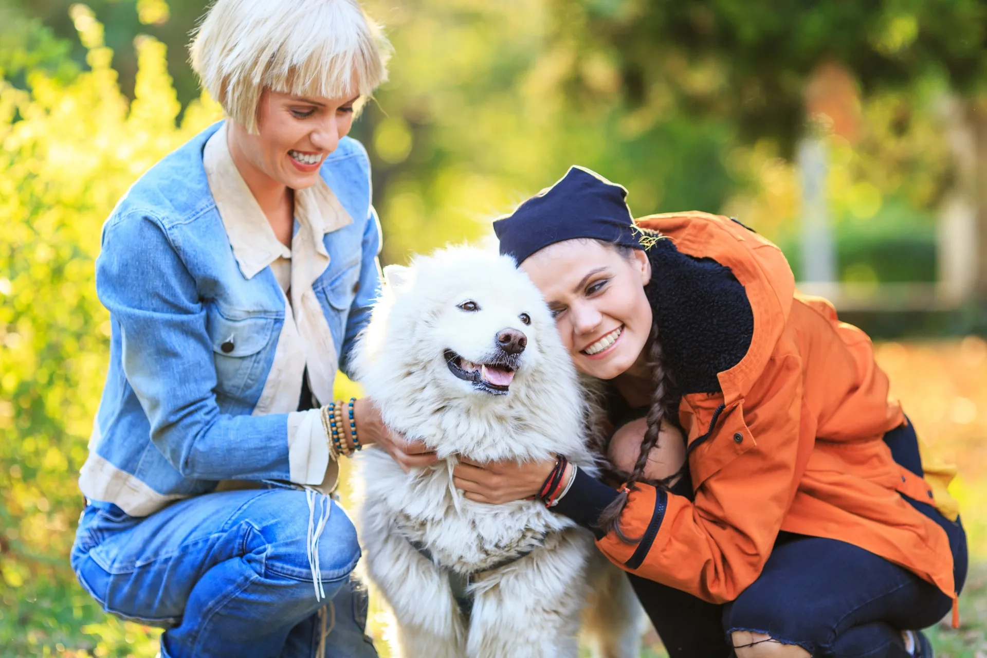 Meet and Greet: Find the Perfect Pet Sitter Match