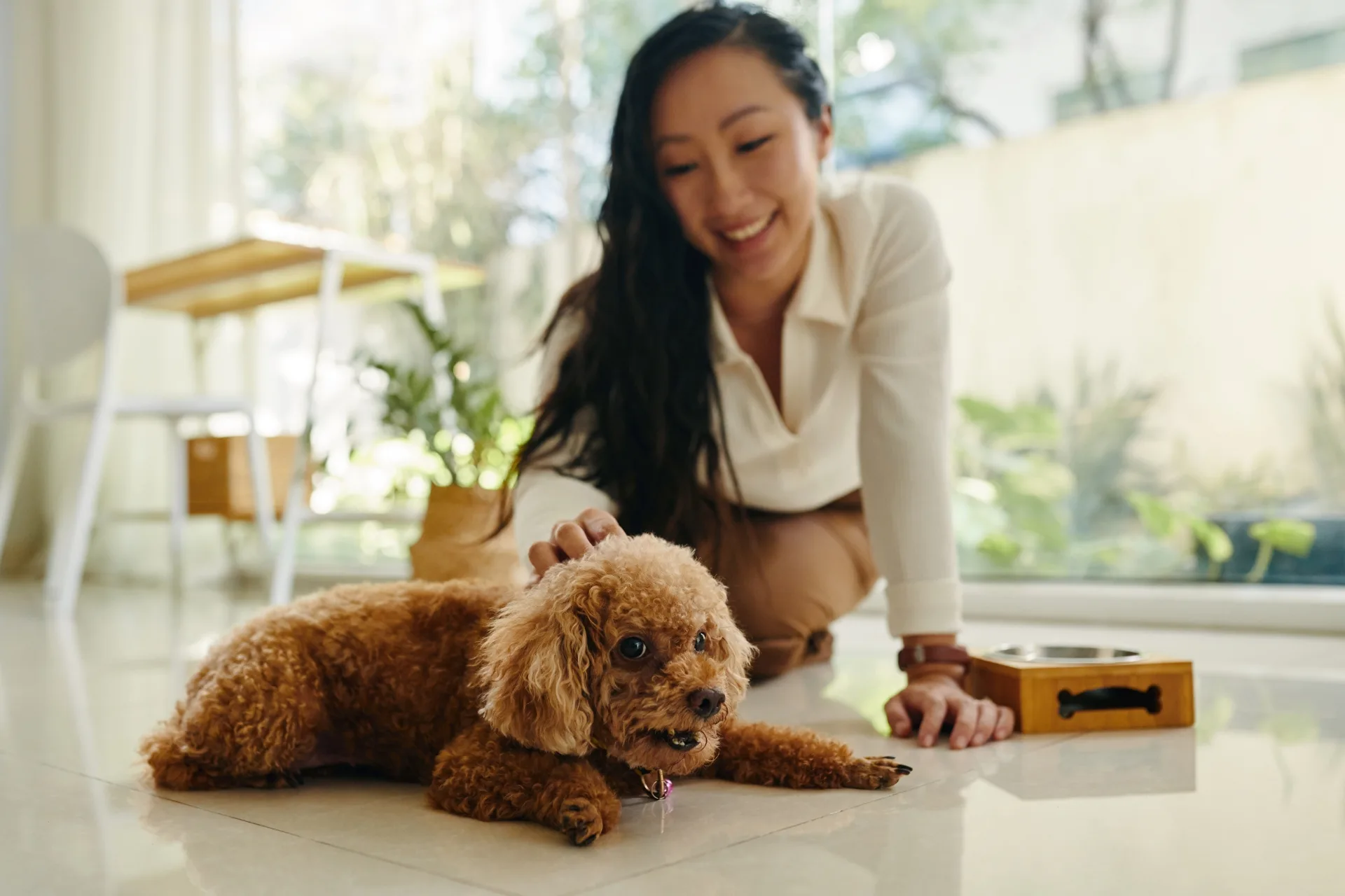 Pet Sitter House Rules: Setting Expectations Without Being That Person