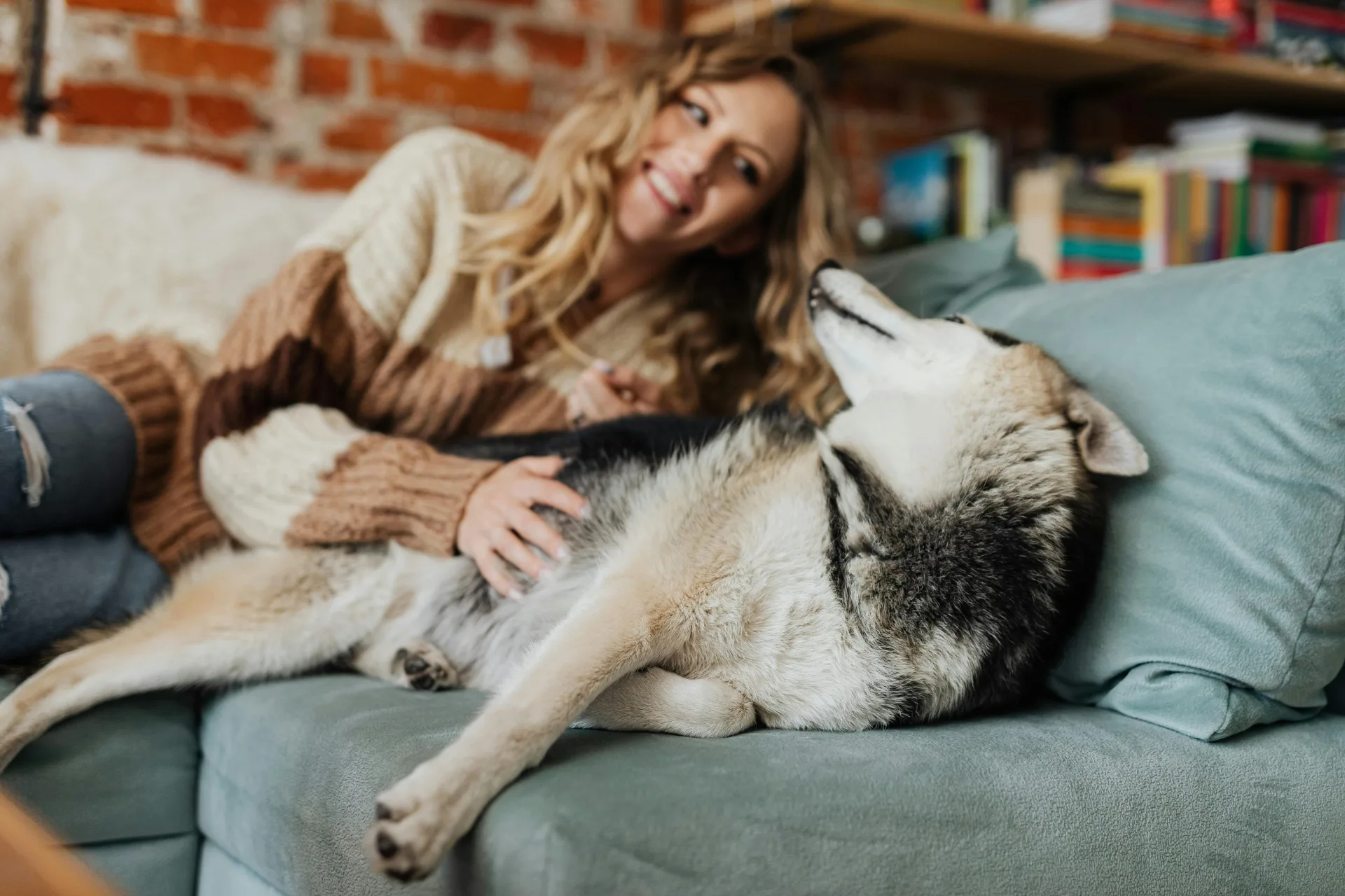 Pet Sitter vs Family Friend: Which Is Best?