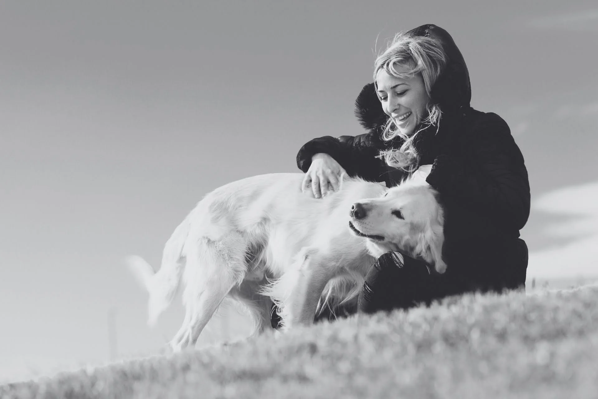 Are dogs color blind or not? Discover the truth
