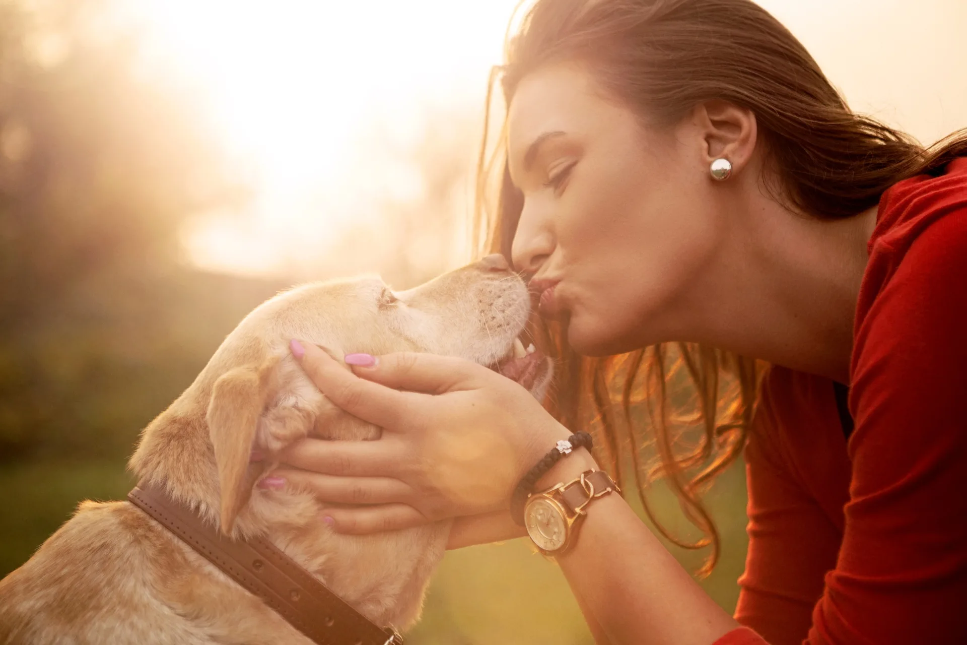 Prezzi Dog Sitter a Milano: Tariffe 2026