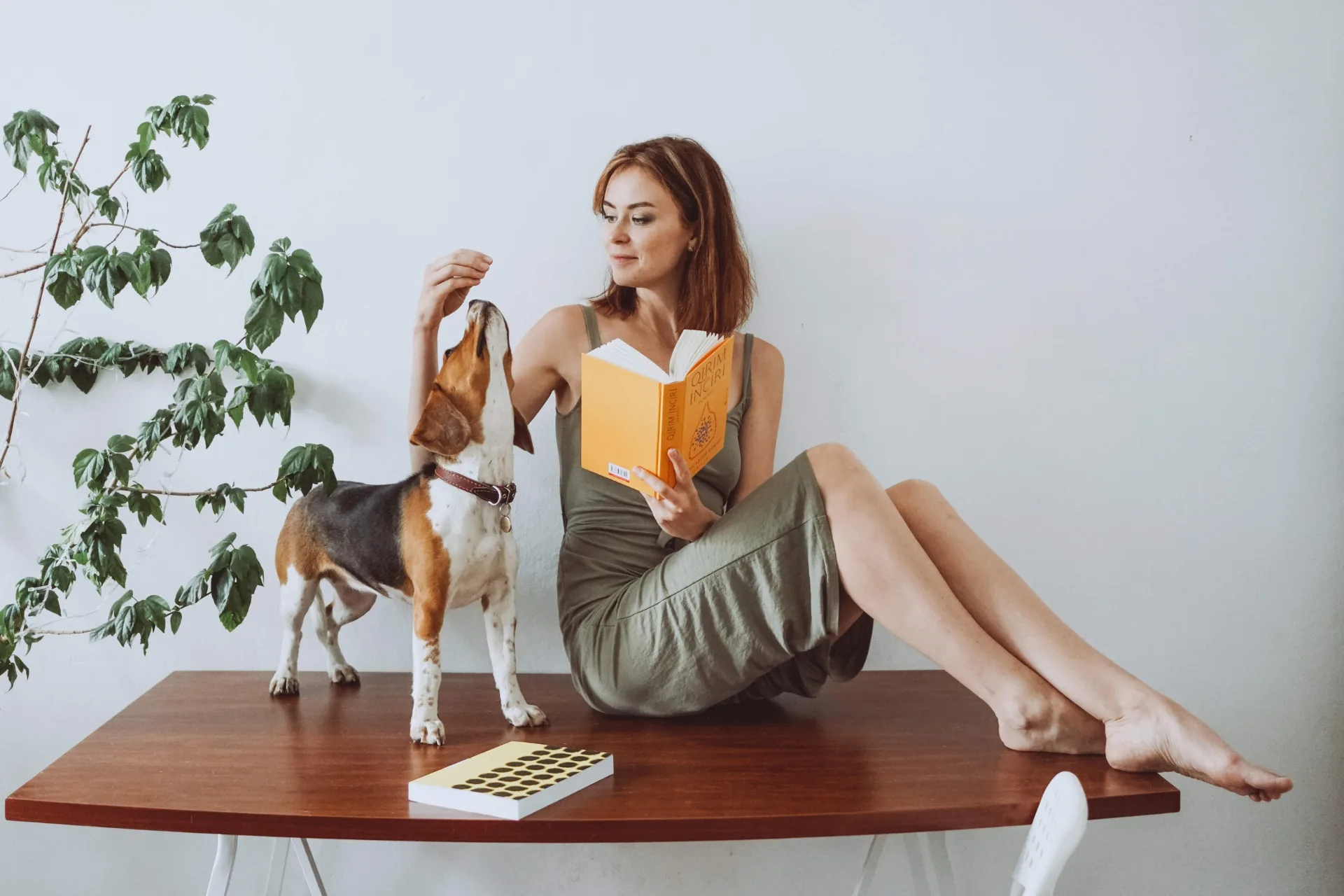 Quanto Costa un Dog Sitter in Italia?