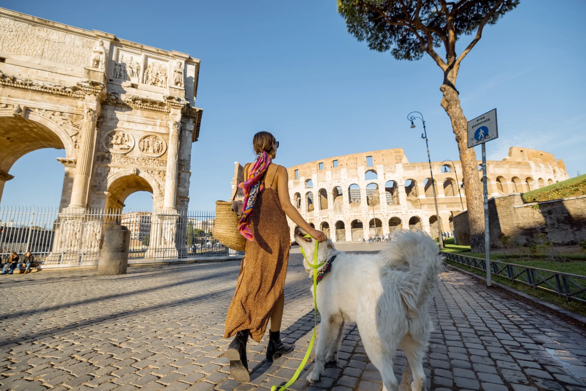 Prezzi Dog Sitter a Roma: Tariffe 2026