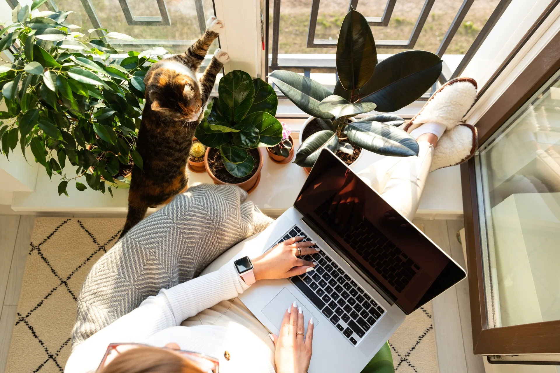 What Makes a Good Review for a Pet Sitter?
