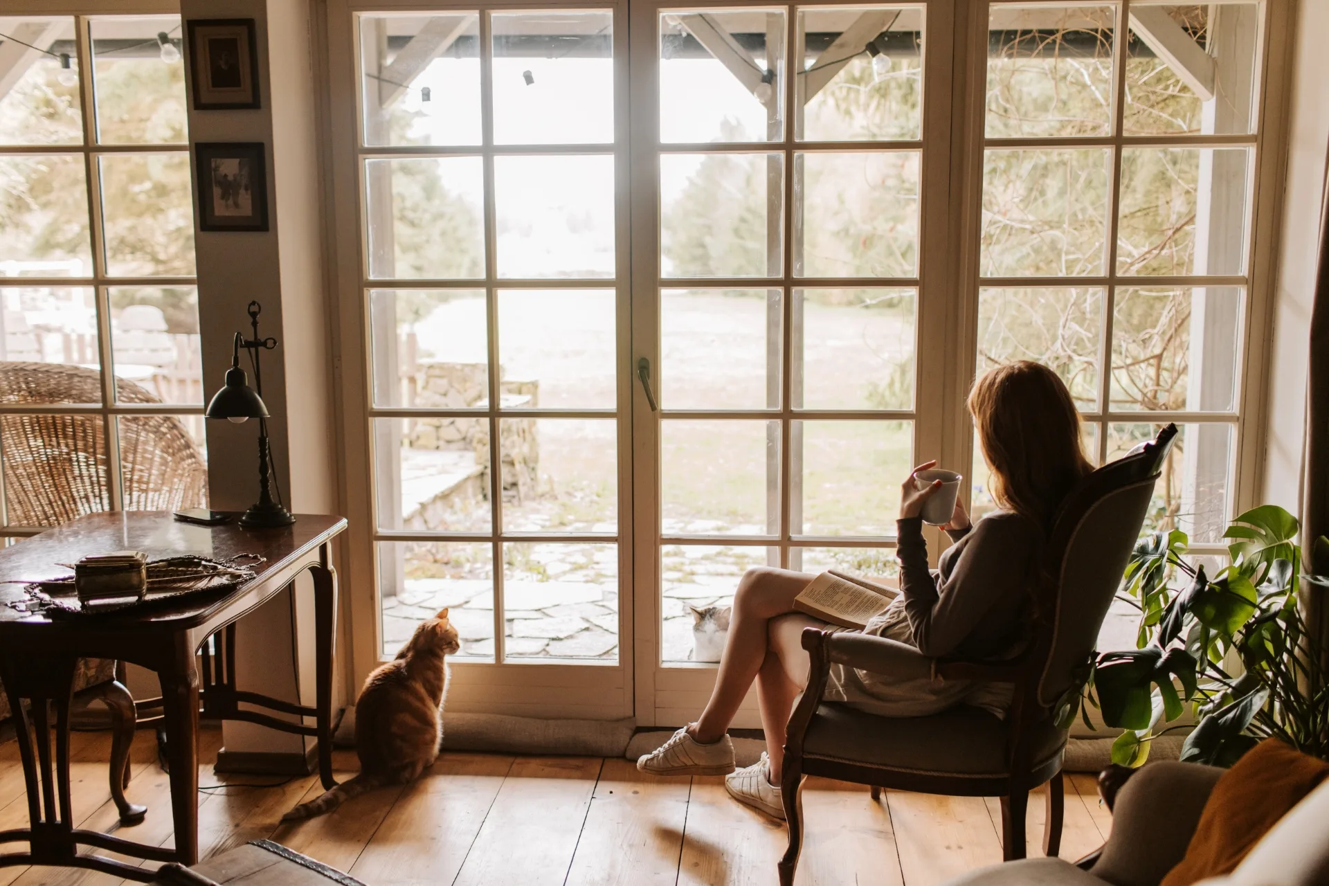 Pet Sitter a Domicilio: Cos'è il House Sitting