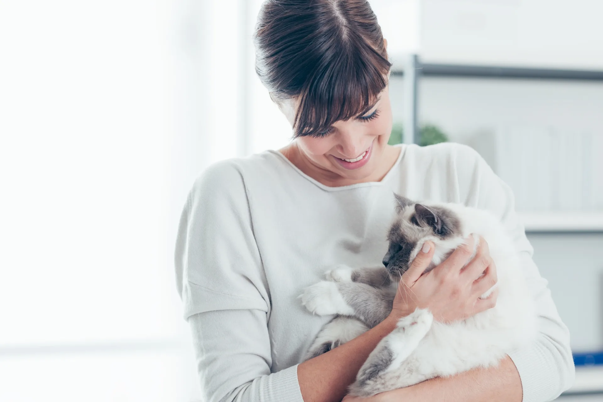 Professional Pet Sitter: What to Expect for Your Pet