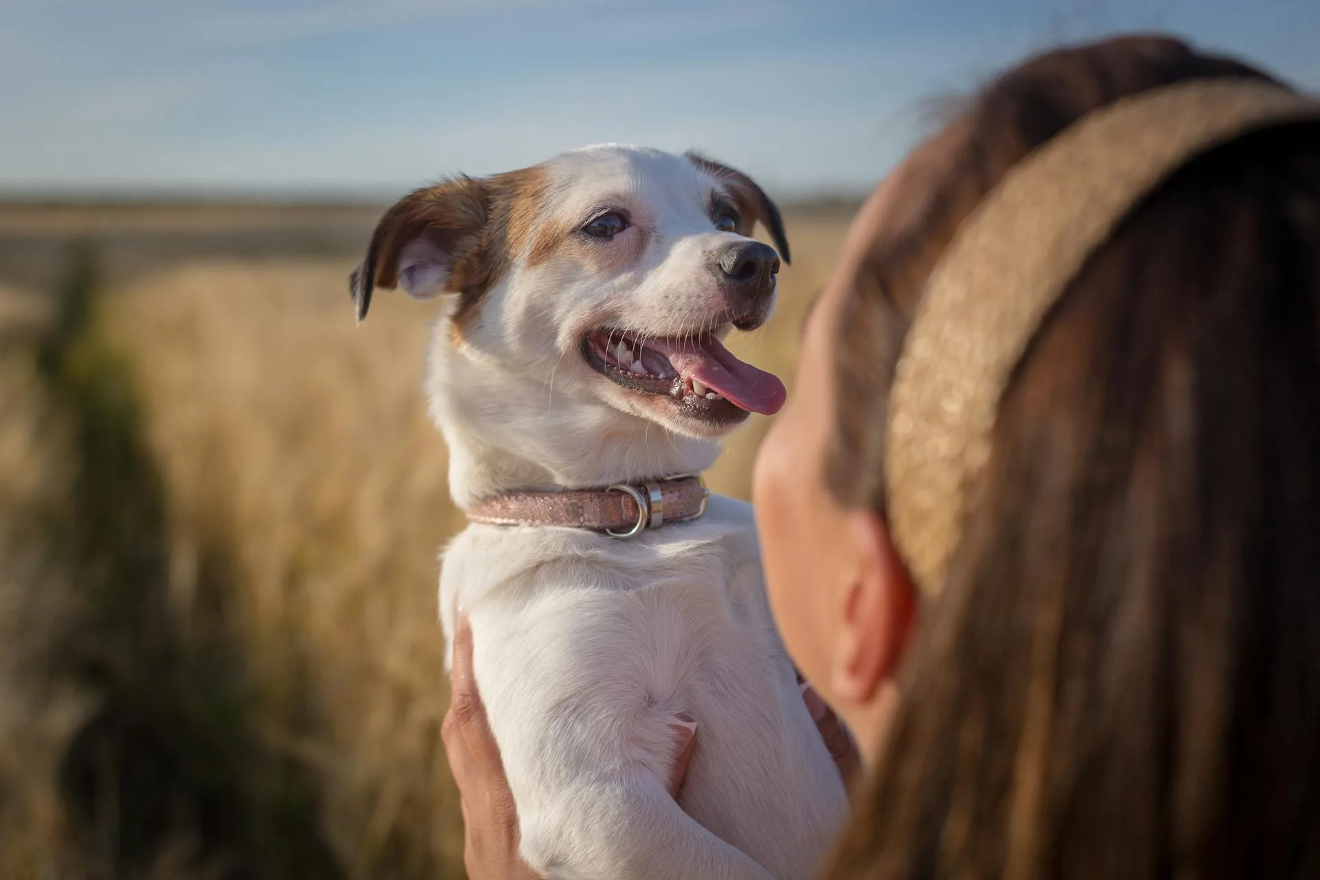 Are pet sitters background checked?