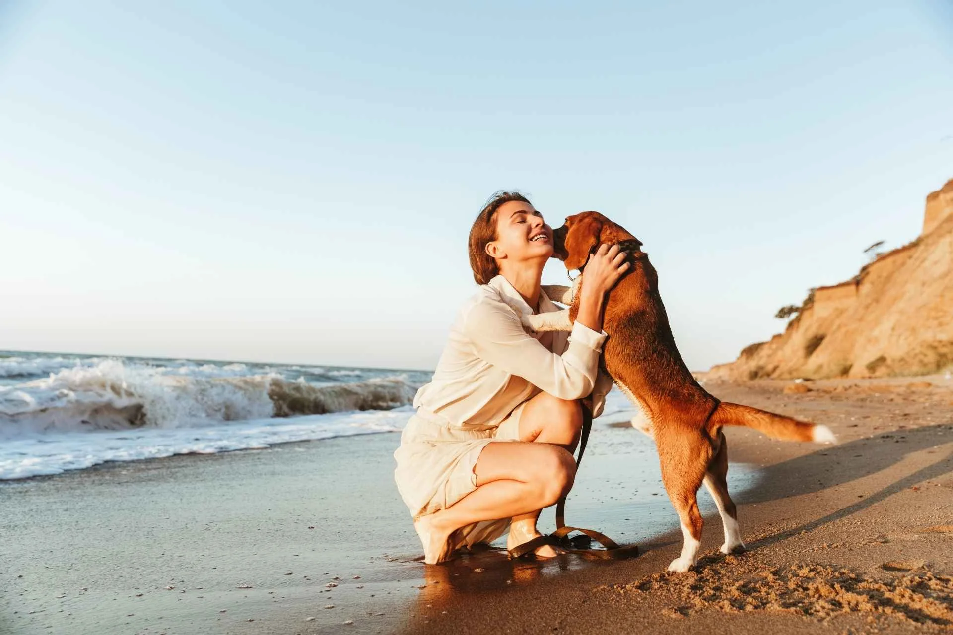 Cómo saber si tu perro te quiere: 10 señales claras