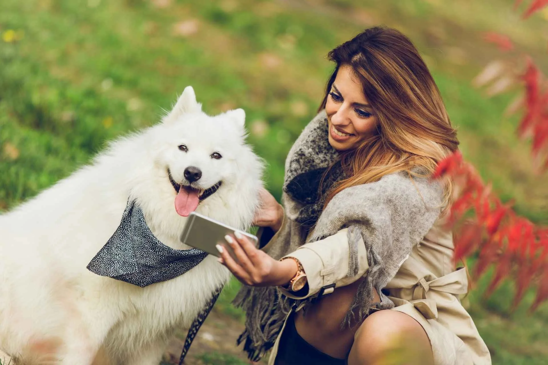 Cómo convertir a tu perro en influencer en las redes sociales