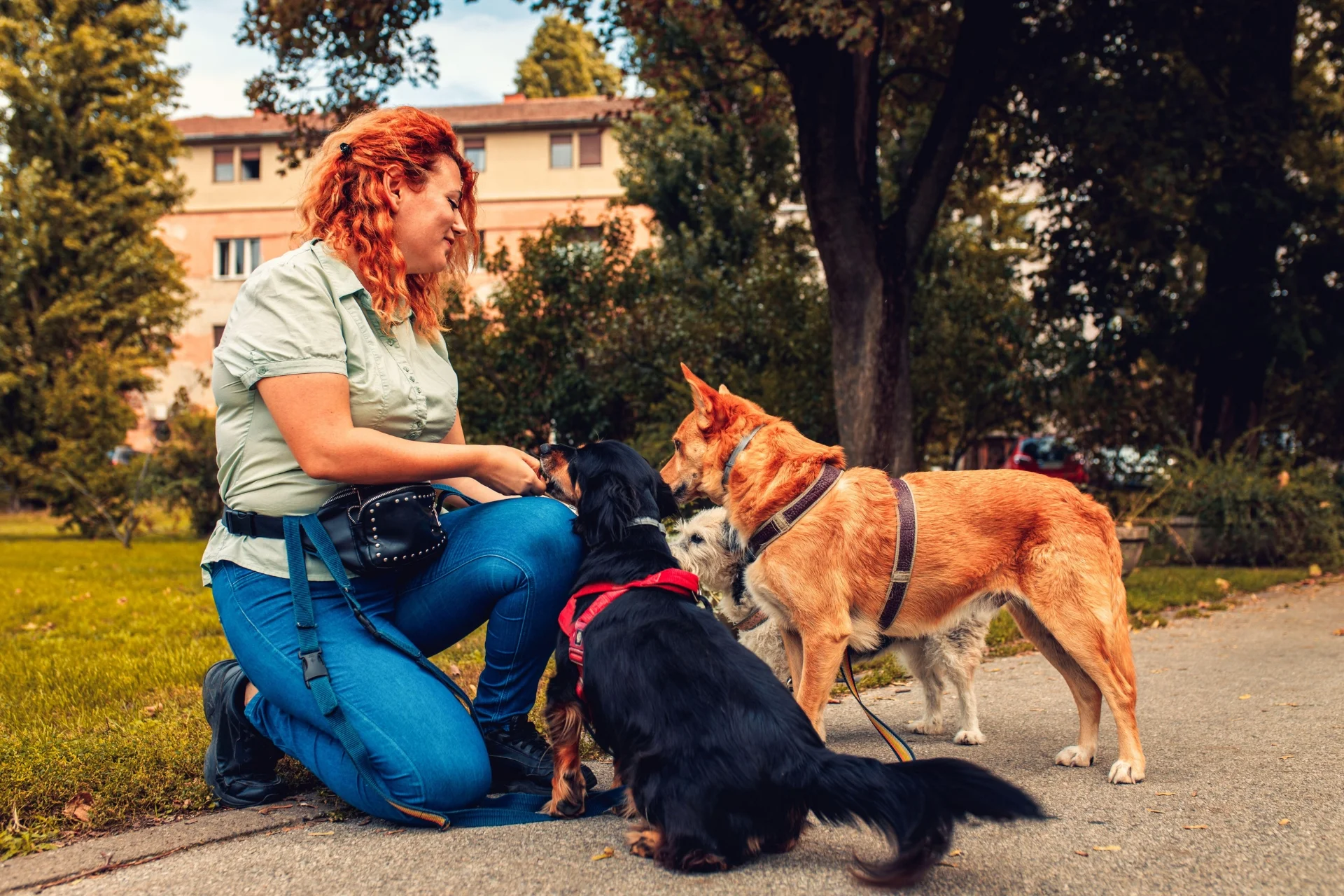 Cuanto cobra un paseador de perros por hora