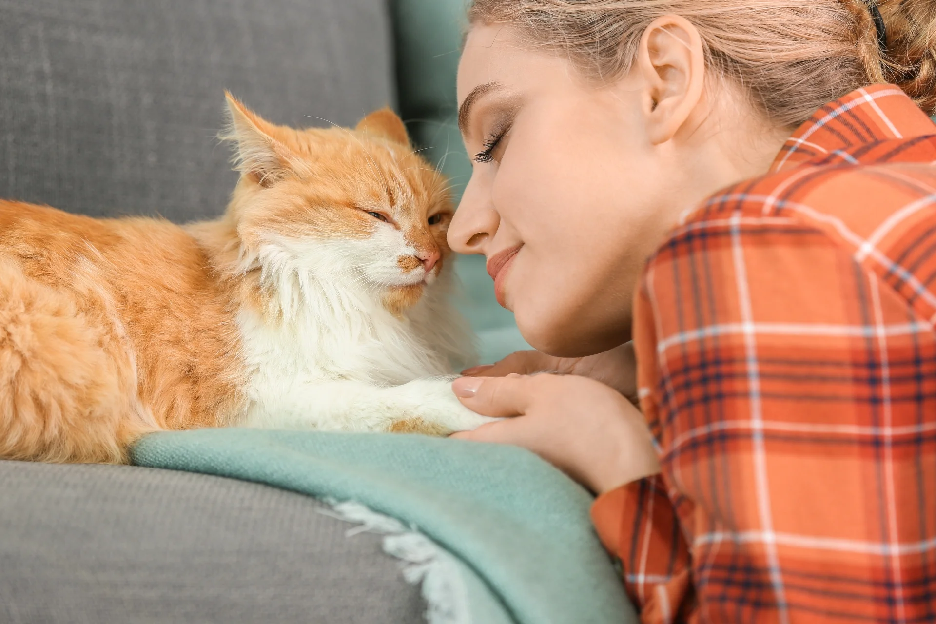 Cuánto cuesta mantener un gato al mes en España