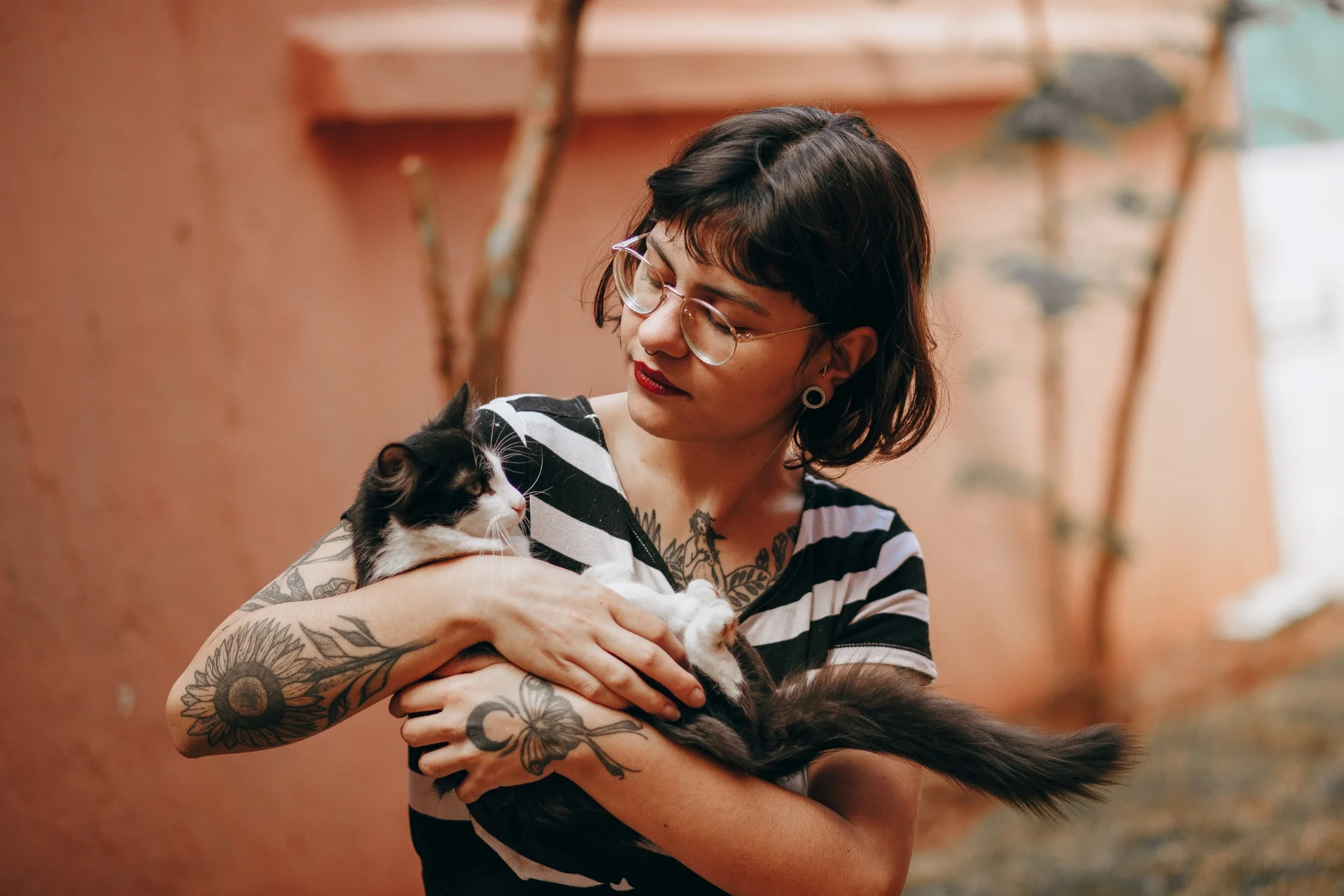 ¿Cuánto cuesta tener un gato es España? Gastos previstos (e imprevistos)
