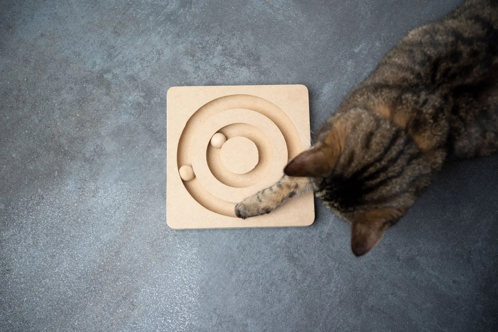Eco-friendly cat toys: Fun and sustainable options