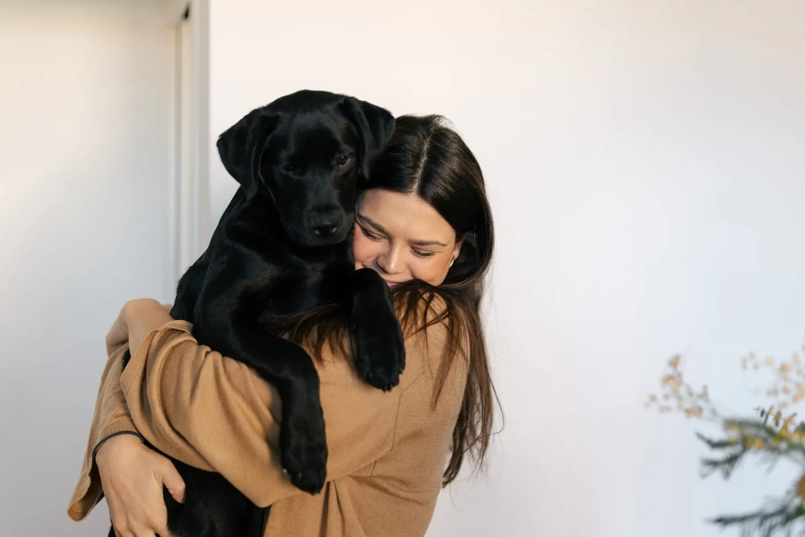 What is a good bio for a dog sitter? Your guide to stand out