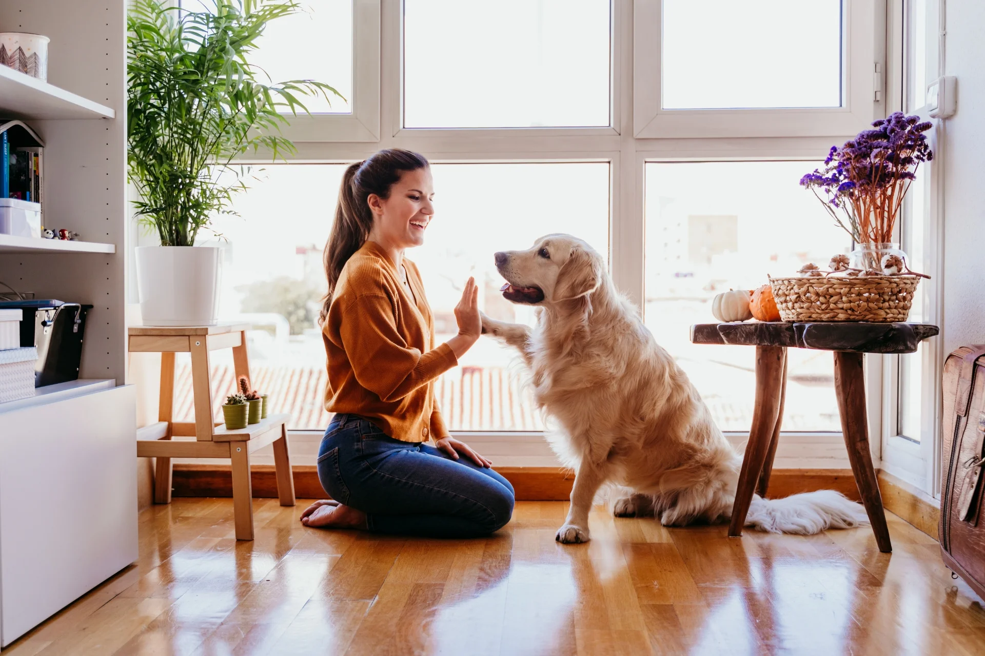 10 habilidades clave para ser un buen cuidador de perros