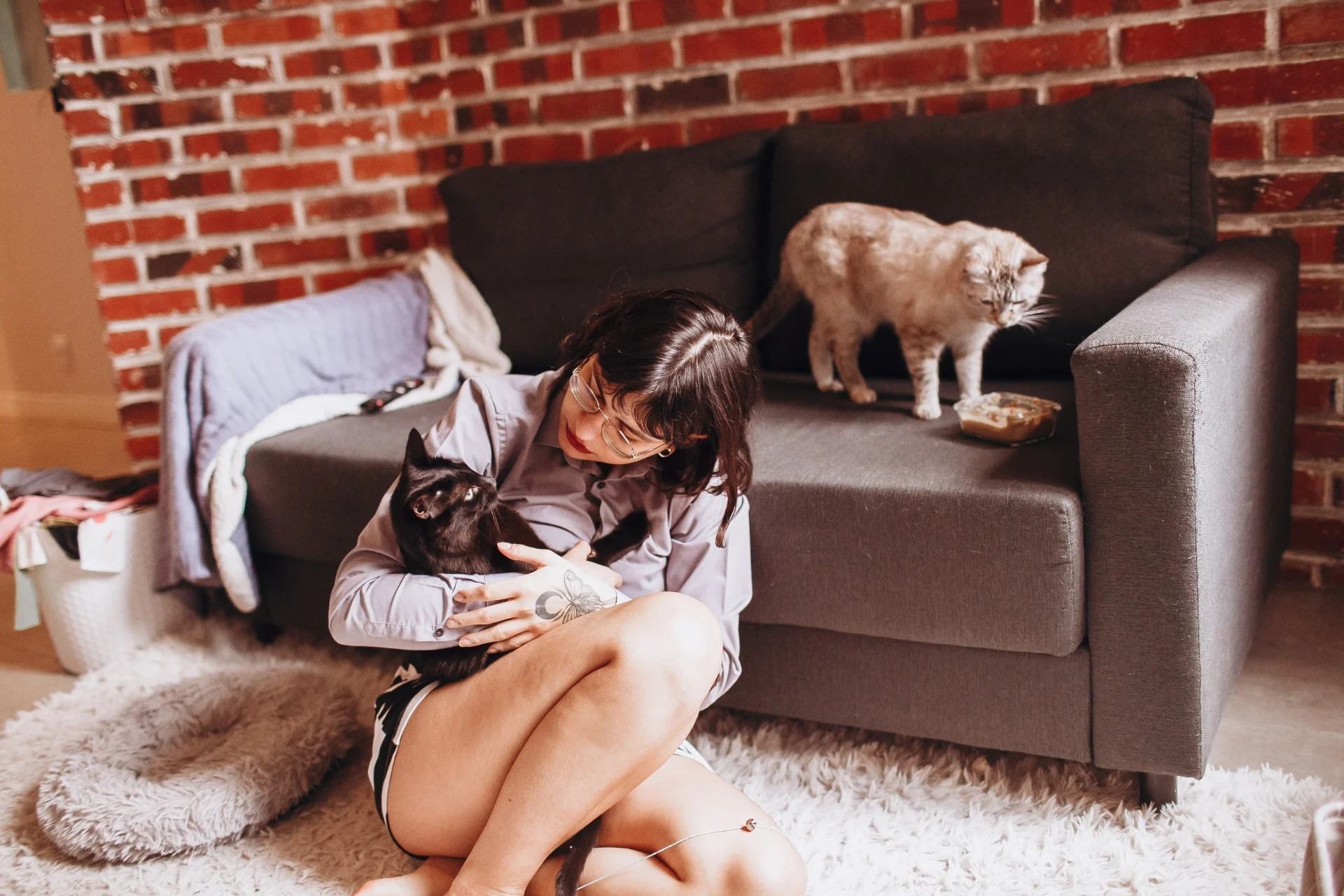 Cómo elegir hotel o cuidador de mascotas al viajar