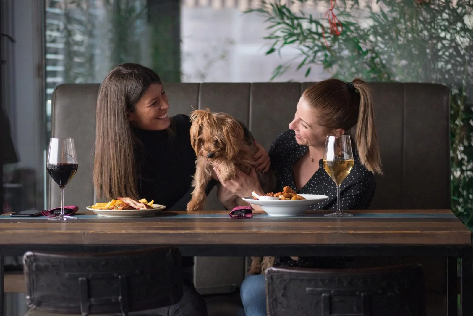 How Do You Interview a Pet Sitter? Best Questions to Ask