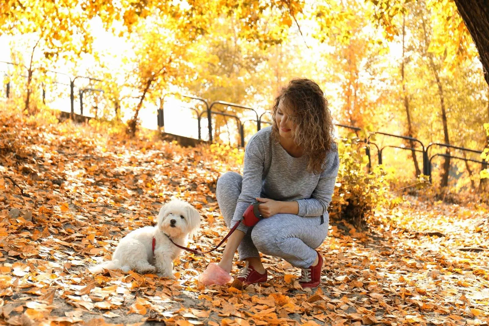 How often do dogs poop daily? | Dog digestion tips