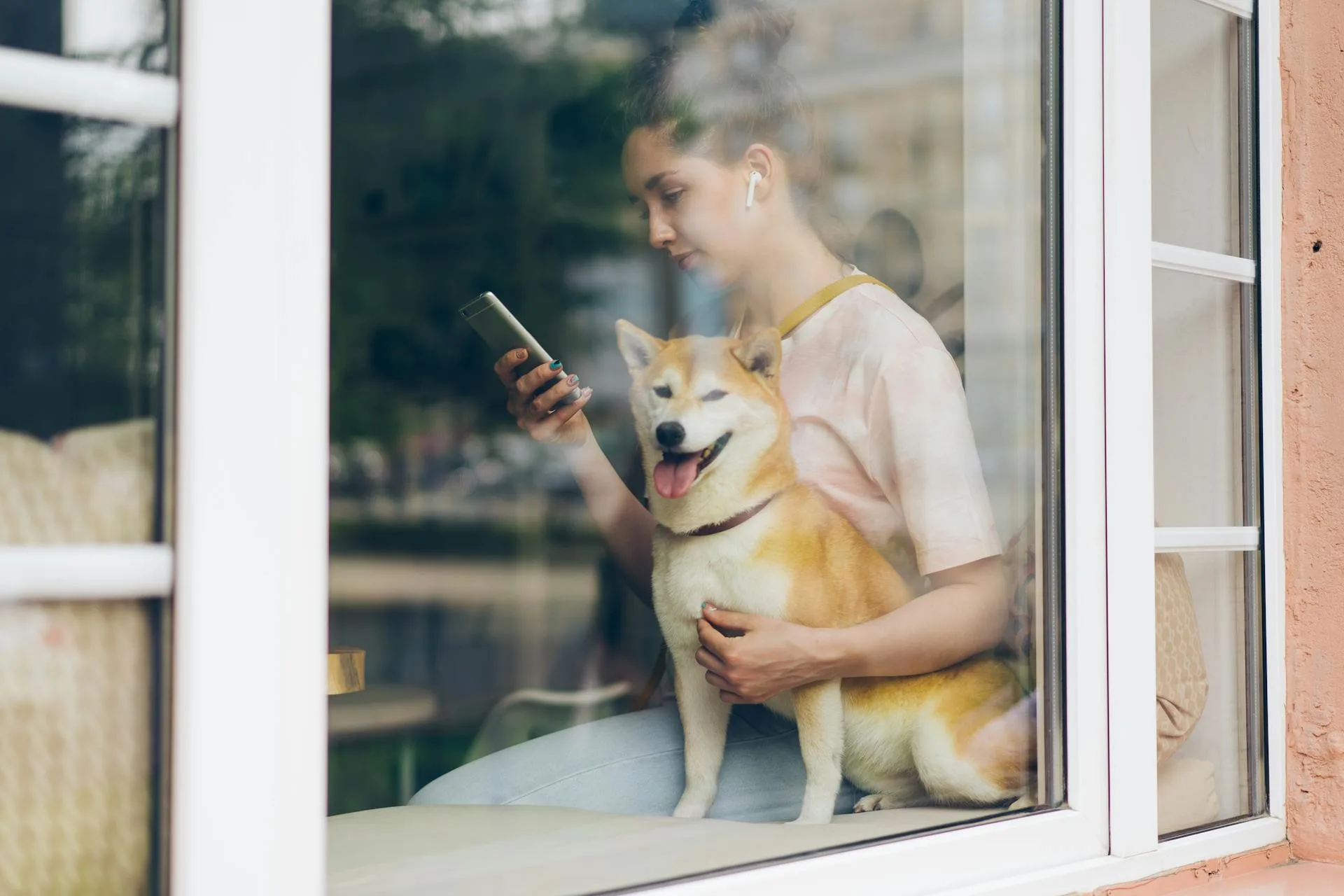How to book a pet sitter: a first-timer's guide