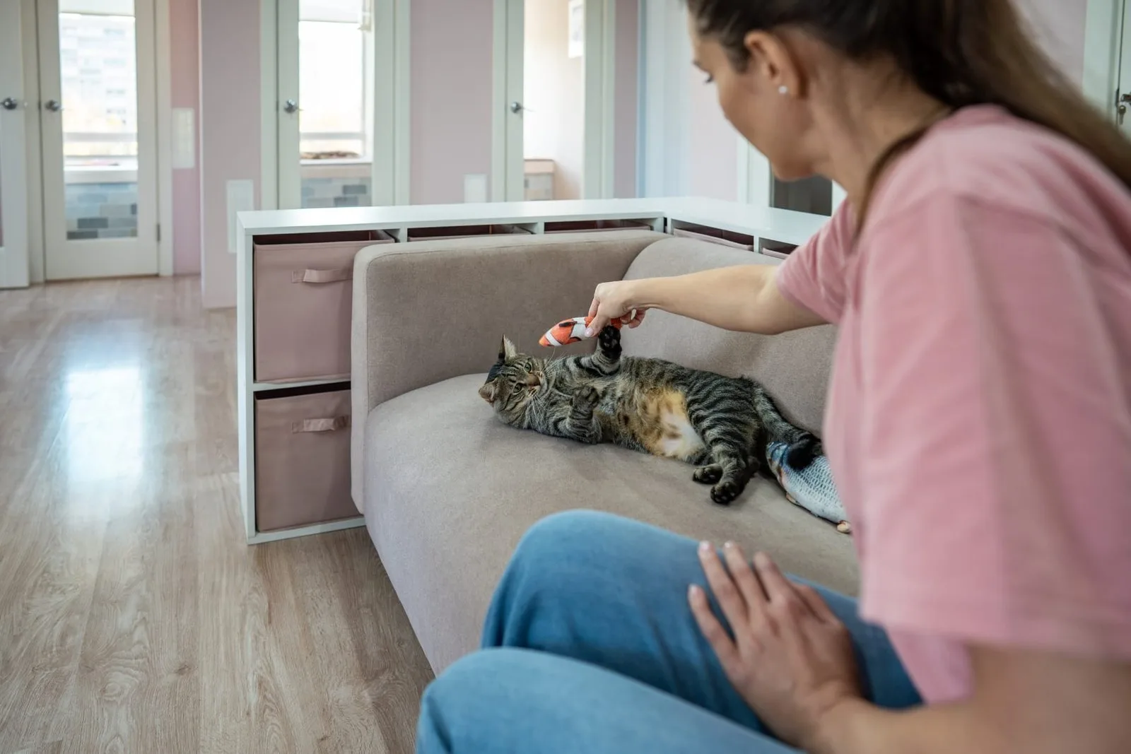 In-home vs. boarding pet sitting: Which wins for your pet?