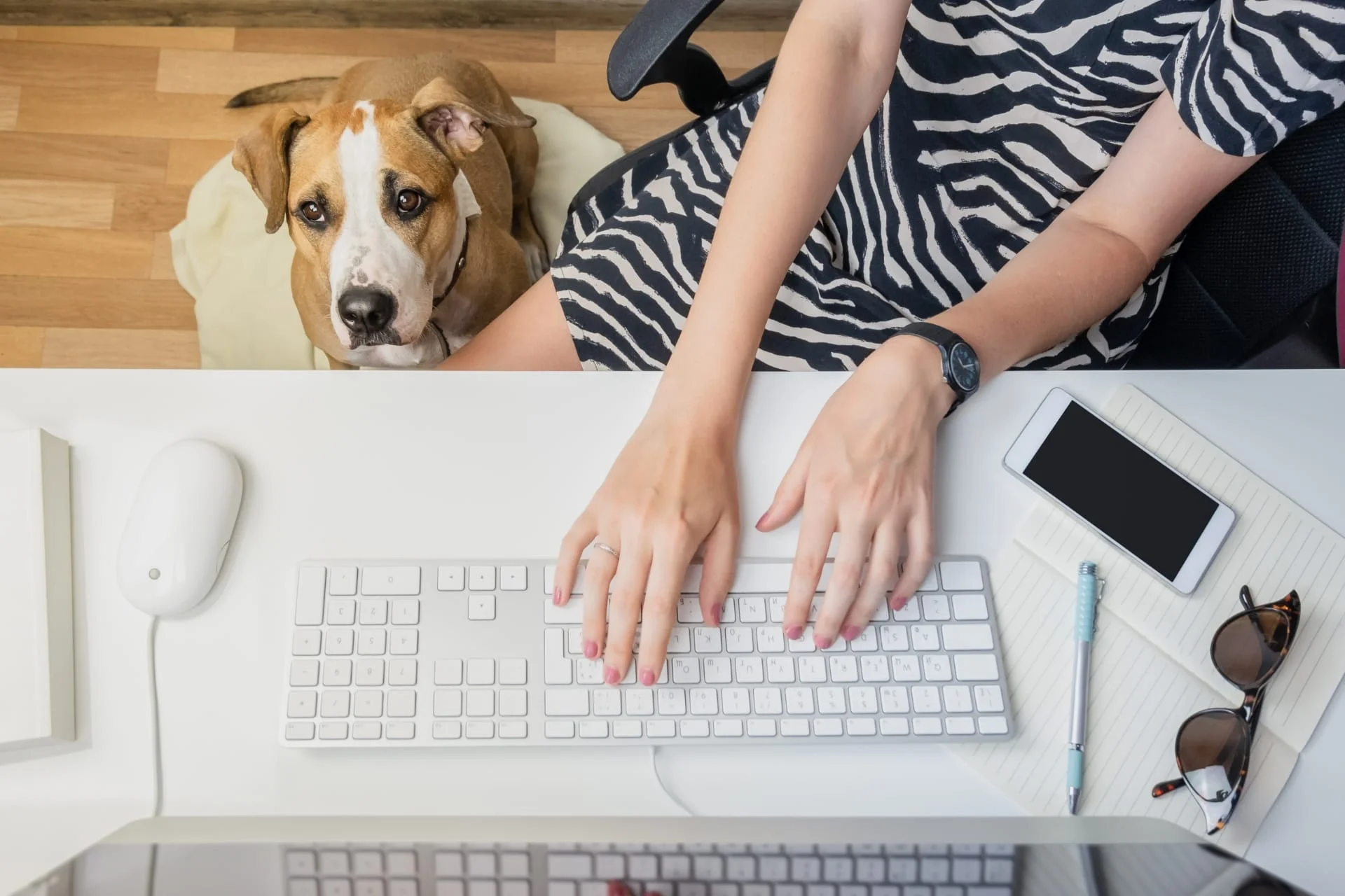 Cómo hacer crecer tu negocio de mascotas sin esfuerzo