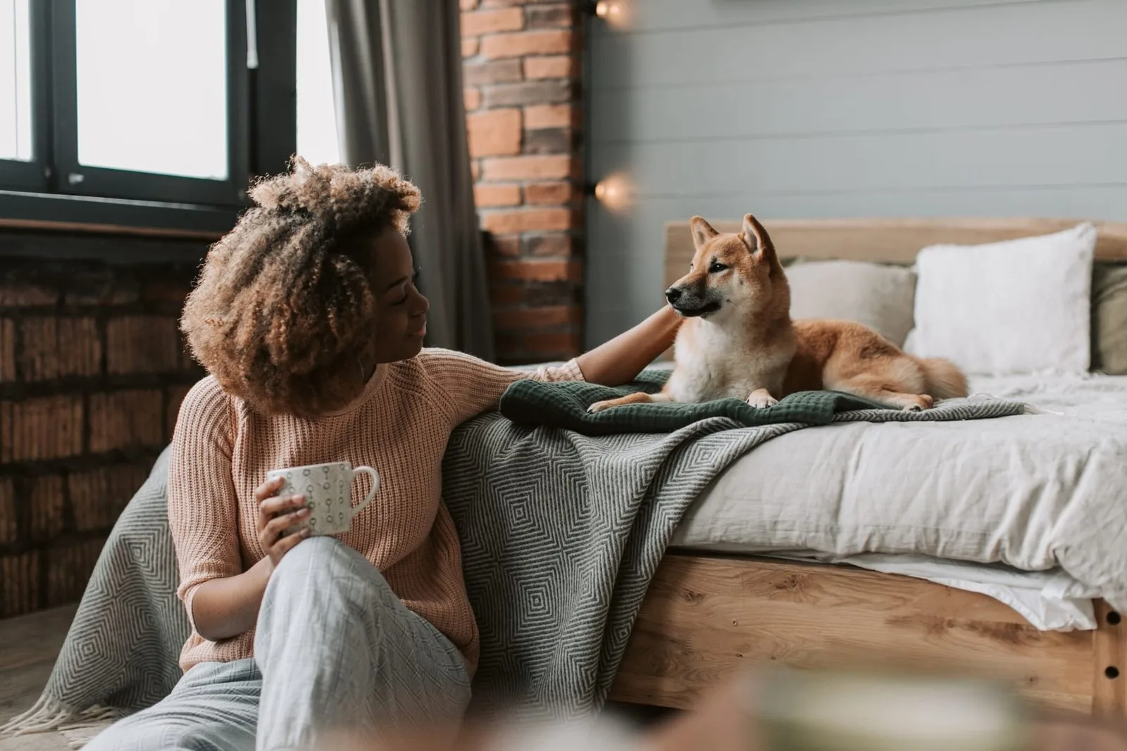 Preparing your pet for a pet sitter: A stress-free guide