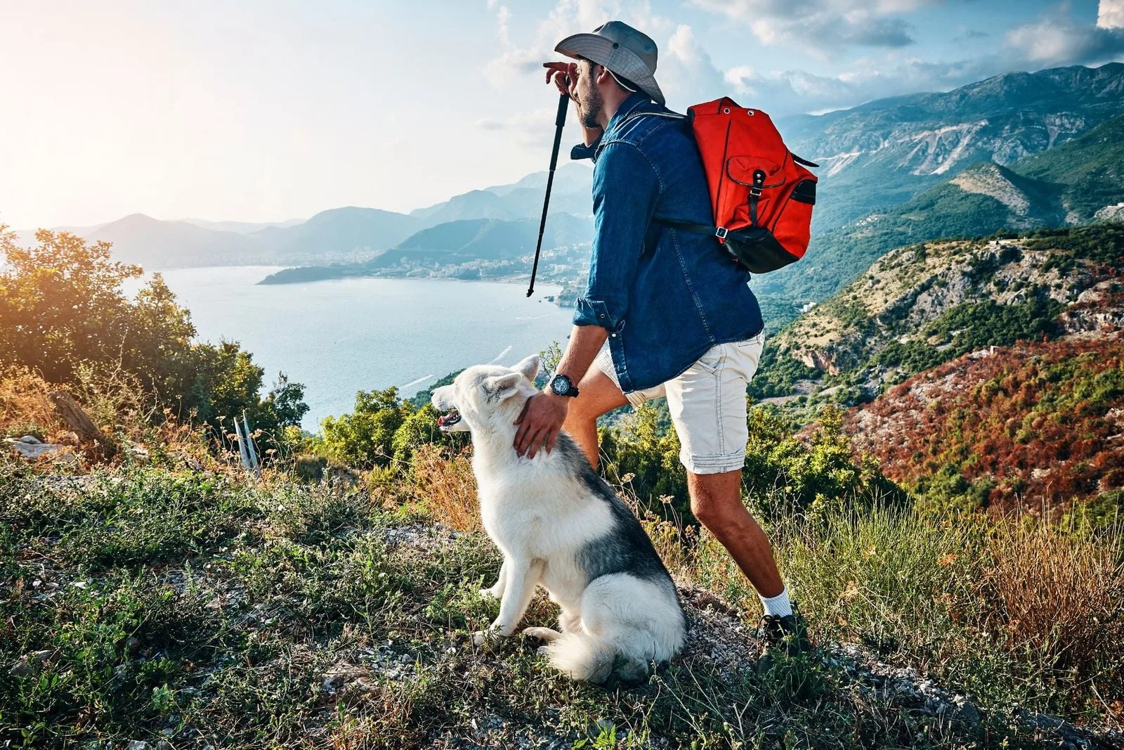 Tips for Hiking with a Dog: A Comprehensive Guide