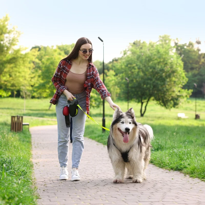 Paseo de perros